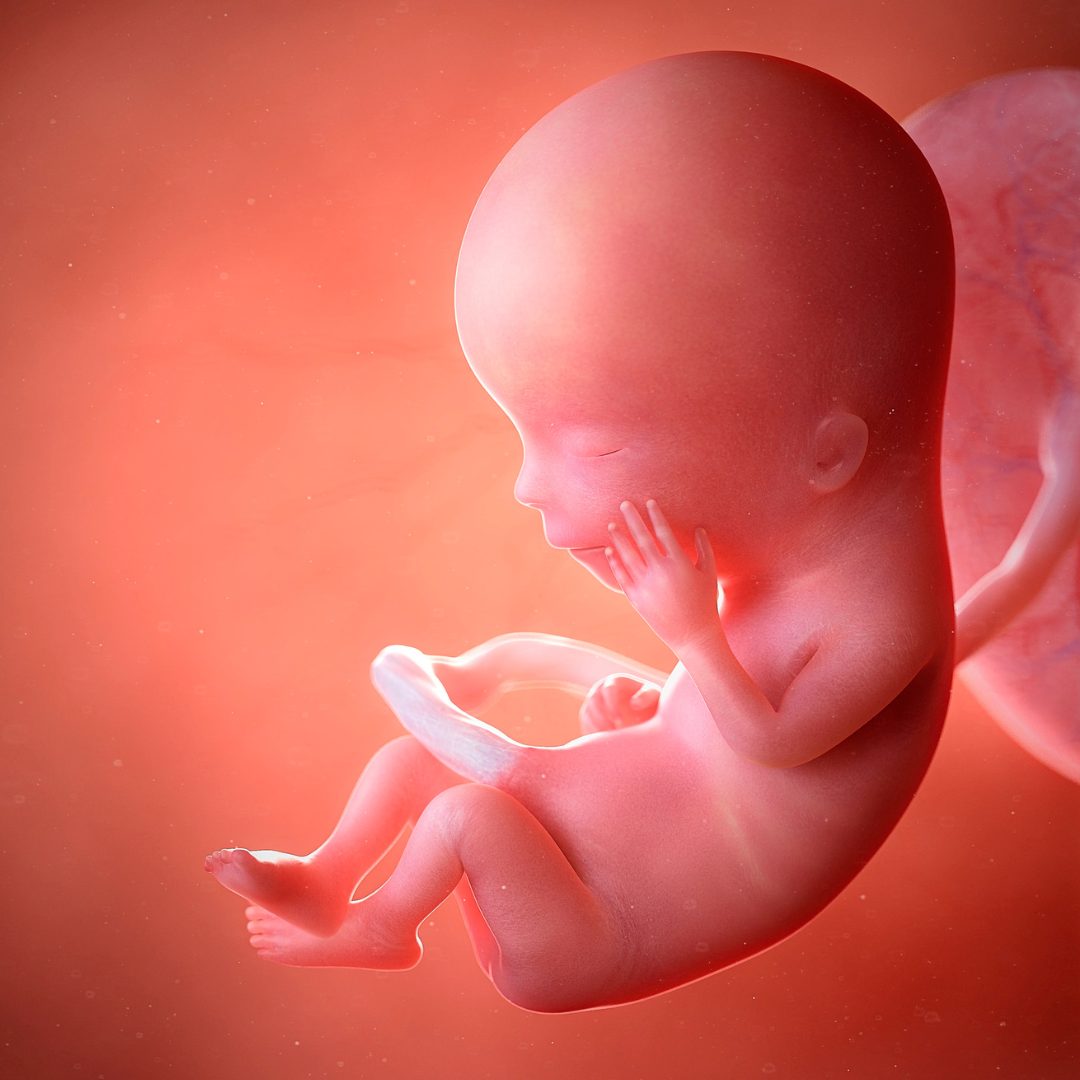 https://lifelinecoalition.org/wp-content/uploads/2024/12/LC_Social-Media_-014.jpg